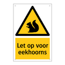 Let op voor eekhoorns & Let op voor eekhoorns & Let op voor eekhoorns & Let op voor eekhoorns