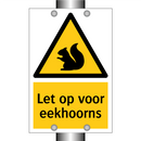 Let op voor eekhoorns & Let op voor eekhoorns & Let op voor eekhoorns & Let op voor eekhoorns