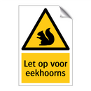 Let op voor eekhoorns & Let op voor eekhoorns & Let op voor eekhoorns & Let op voor eekhoorns