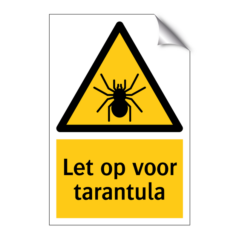 Let op voor tarantula & Let op voor tarantula & Let op voor tarantula & Let op voor tarantula