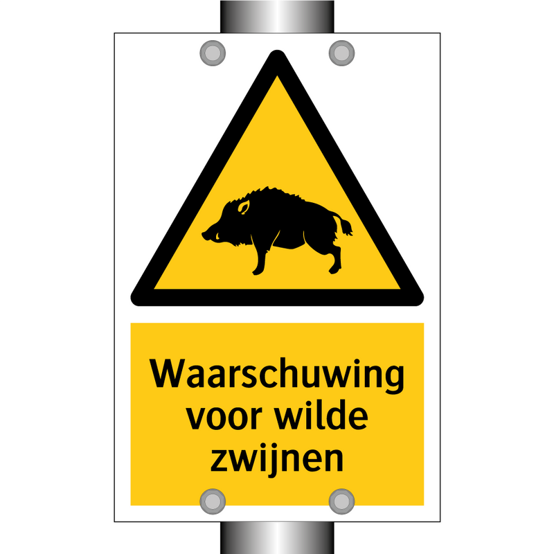 Waarschuwing voor wilde zwijnen & Waarschuwing voor wilde zwijnen & Waarschuwing voor wilde zwijnen