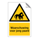 Waarschuwing voor jong paard & Waarschuwing voor jong paard & Waarschuwing voor jong paard