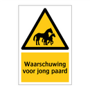Waarschuwing voor jong paard & Waarschuwing voor jong paard & Waarschuwing voor jong paard