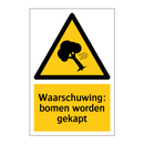 Waarschuwing: bomen worden gekapt & Waarschuwing: bomen worden gekapt