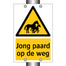 Jong paard op de weg & Jong paard op de weg & Jong paard op de weg & Jong paard op de weg