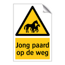 Jong paard op de weg & Jong paard op de weg & Jong paard op de weg & Jong paard op de weg