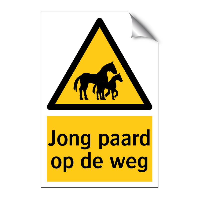 Jong paard op de weg & Jong paard op de weg & Jong paard op de weg & Jong paard op de weg