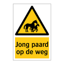 Jong paard op de weg & Jong paard op de weg & Jong paard op de weg & Jong paard op de weg