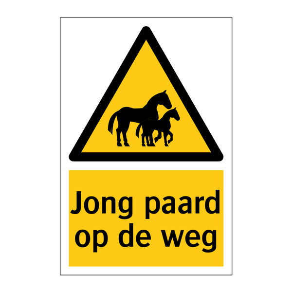 Jong paard op de weg & Jong paard op de weg & Jong paard op de weg & Jong paard op de weg