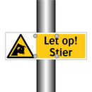 Let op! Stier