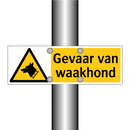 Gevaar van waakhond