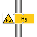 Hg