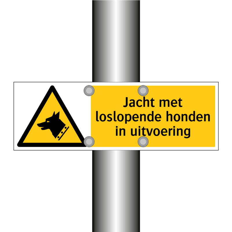 Jacht met loslopende honden in uitvoering