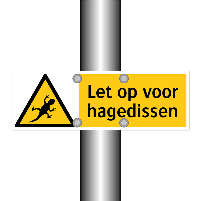Let op voor hagedissen
