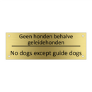 Geen honden behalve geleidehonden - No dogs except guide dogs