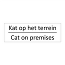 Kat op het terrein - Cat on premises & Kat op het terrein - Cat on premises